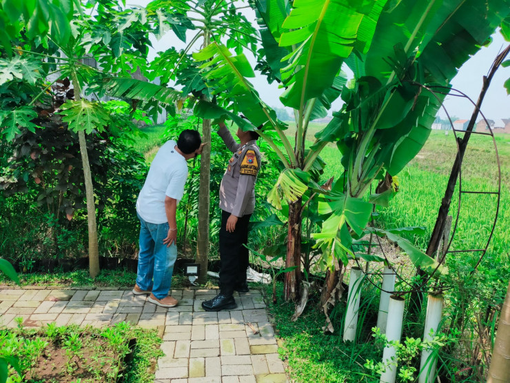 Polsek Sukodono Tinjau Lahan P2B, Dukung Ketahanan Pangan Lewat Tanaman Buah dan Sayur