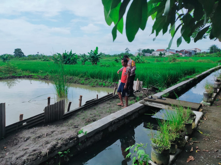 Polsek Sukodono Dukung Warga Budidaya Ikan Nila