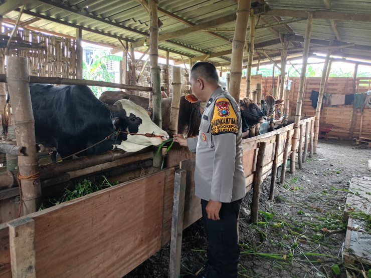 Topang Ketahanan Pangan, Peternak Sapi di Sidokepung Buduran Diberi Motivasi Polisi