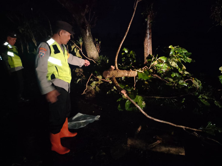 Sigap Polisi Ngawi Tangani Pohon Tumbang, Lalulintas Kembali Normal