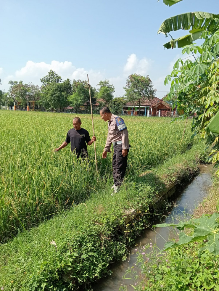 Kapolsek Tanggulangin Dukung Ketahanan Pangan Lewat Program Pekarangan Pangan Bergizi