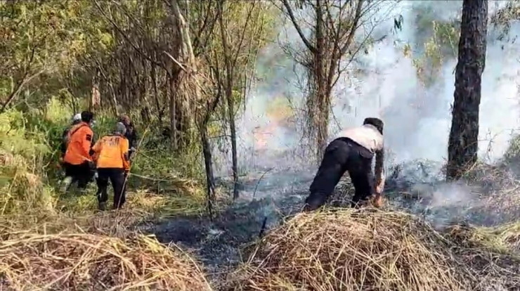 Polisi dan Petugas Gabungan Berhasil Padamkan Karthula di Kawasan TNBTS Ranupani Lumajang