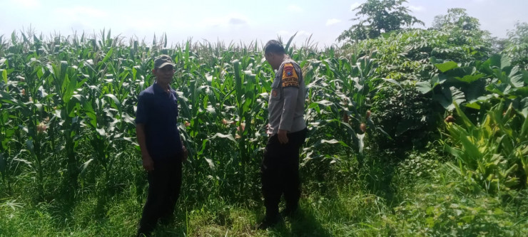 Polsek Tarik Ajak Warga Berkolaborasi Masifkan Giat Ketahanan Pangan