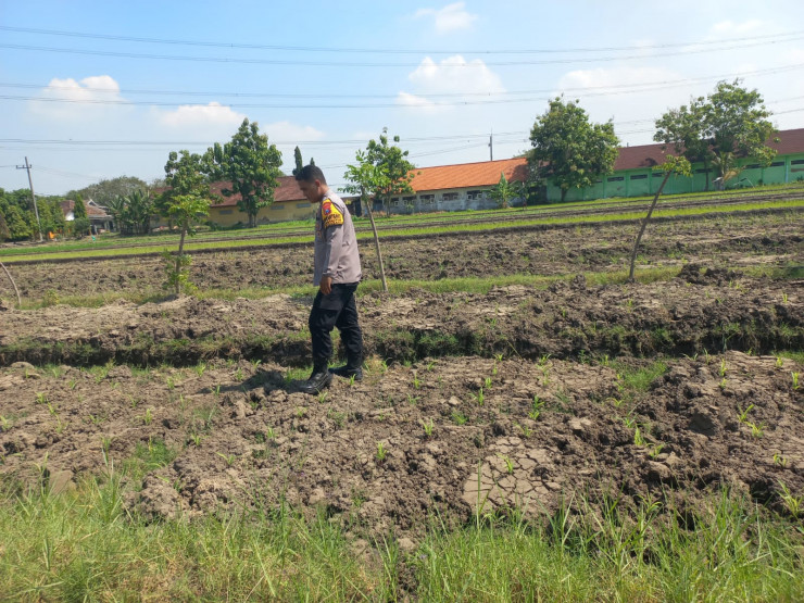 Bhabinkamtibmas Wonoayu Ajak Petani Optimalkan Lahan Jagung