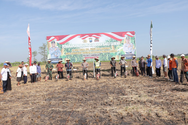 Dukung Ketahanan Pangan Nasional, Polres Lamongan Tanam Jagung di Lahan Baku Desa Kedali