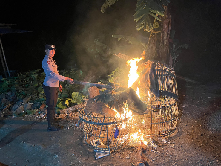 Polisi Bongkar Dua Lokasi Arena Judi Sabung Ayam di Malang