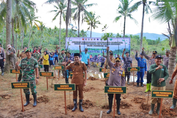 Sinergitas TNI – Polri di Trenggalek Tanam Mangrove Cegah Abrasi Wujudkan Habitat Laut Yang Asri