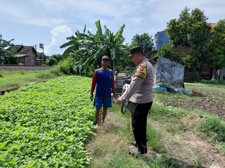 Motivasi Ketahanan Pangan, Polisi Cek Perkembangan Lahan