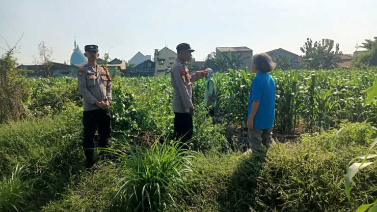 Bhabinkamtibmas Polsek Taman Masifkan Penyuluhan Ketahanan Pangan, Dukung Swasembada Jagung