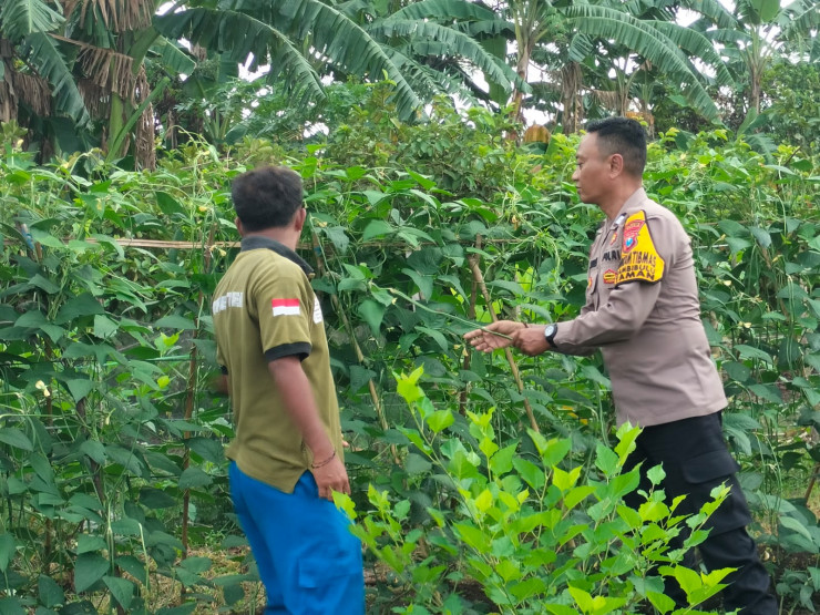 POLRESTA SIDOARJO | Bhabinkamtibmas di Wilayah Kecamatan Taman Masifkan Ketahanan Pangan Tingkat Desa