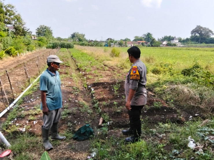 Polisi Turun ke Sawah, Motivasi Petani Cabai Dukung Ketahanan Pangan Nasional