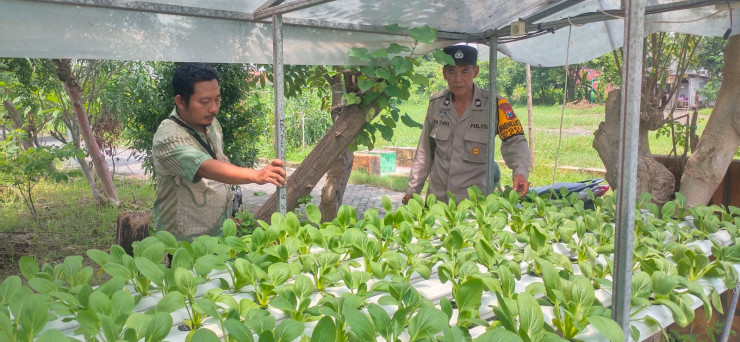 Polisi Dukung Ibu PKK Gerakkan Program Ketahanan Pangan Lewat Tanaman Hidroponik