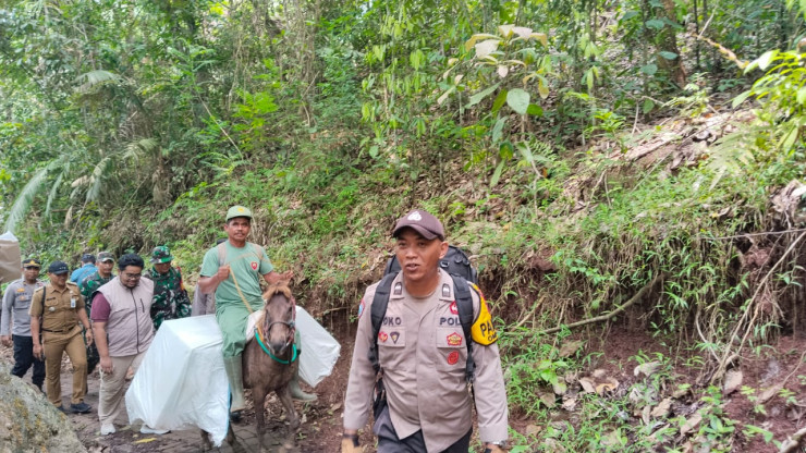 Penuh Perjuangan, Petugas Distribusikan Logistik Pilkada Menggunakan Kuda ke TPS Terpencil di Jember