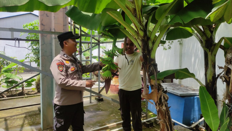 Polsek Taman Pantau Lahan Tanaman Pisang dan Jambu untuk Swasembada Pangan