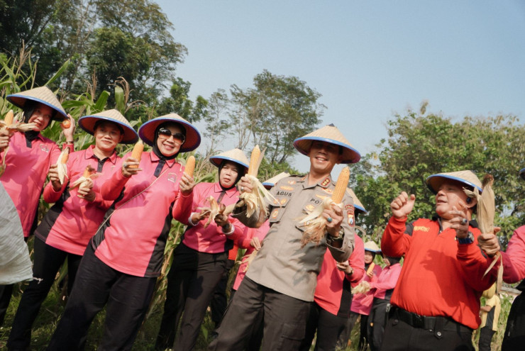 SPN Polda Jatim Gelar Panen Raya Jagung, Wujudkan Ketahanan Pangan