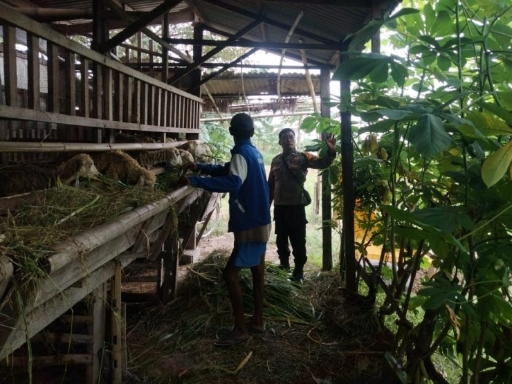 Kolaborasi Polisi dan Warga Optimalkan Perawatan Kambing Dukung Ketahanan Pangan